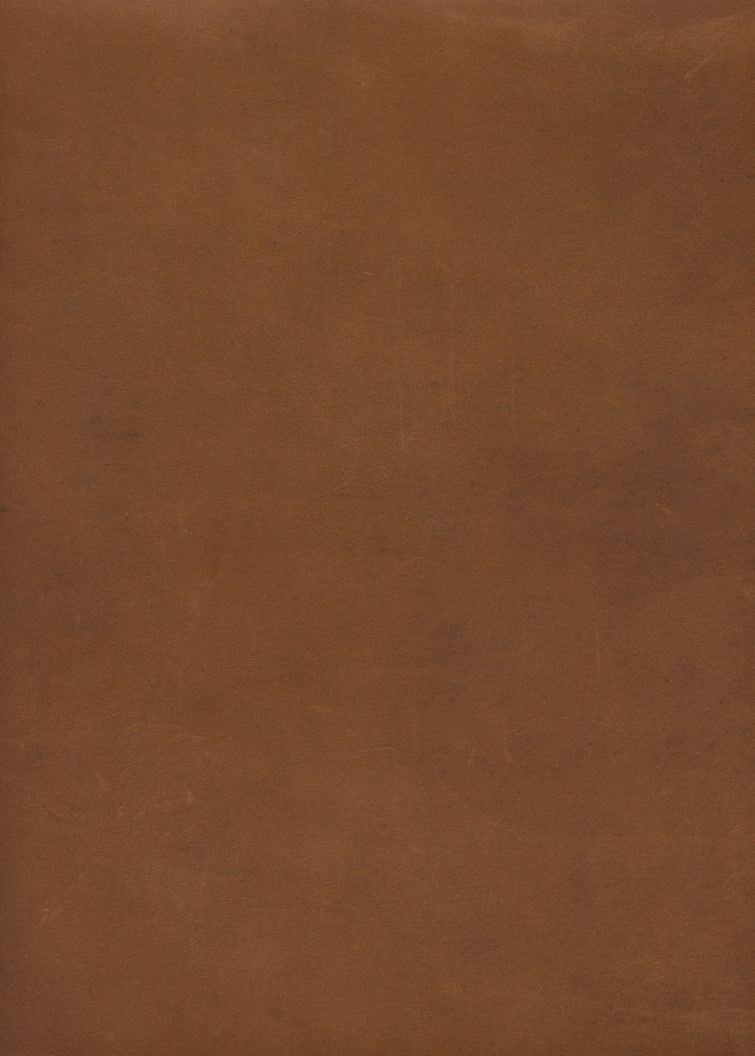 Surface d'un cuir cognac uniforme à tannage végétal