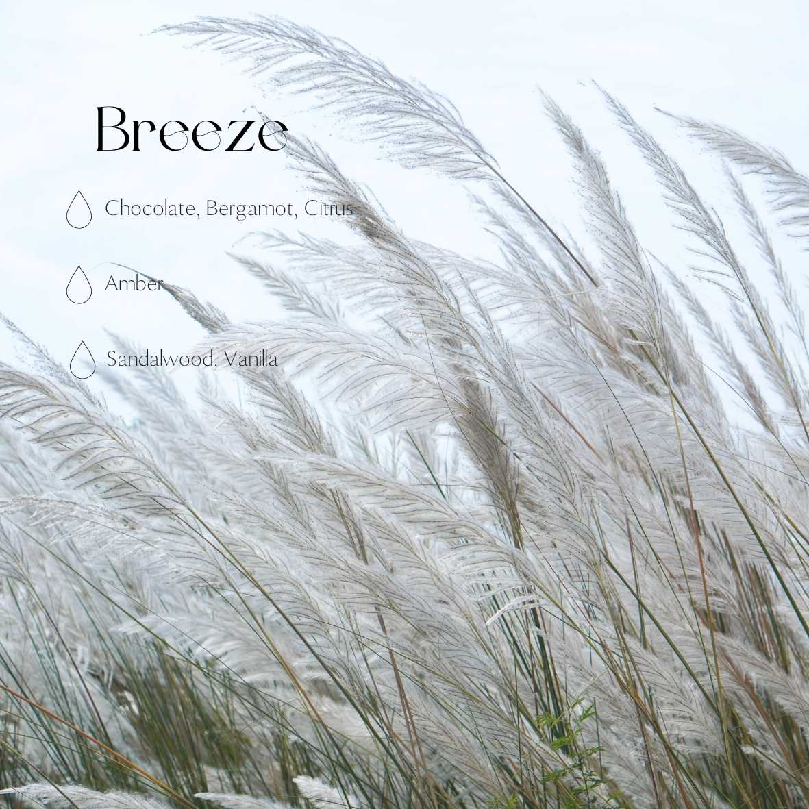 Diffuseur de voiture Candledust parfum Breeze, vue produit