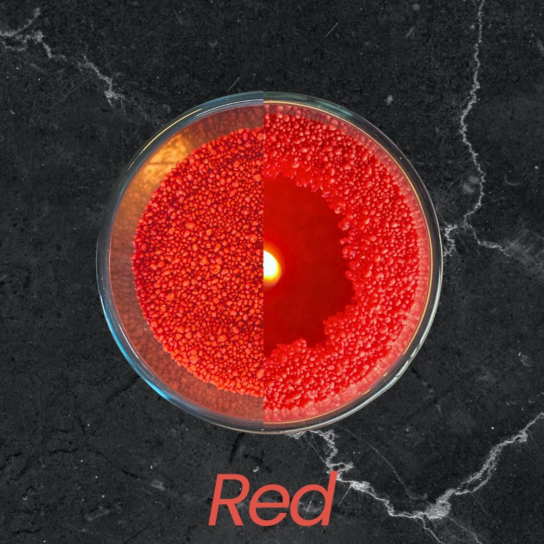 Recharge bougie en poudre Candledust sans parfum rouge 330 grammes, vue alternative