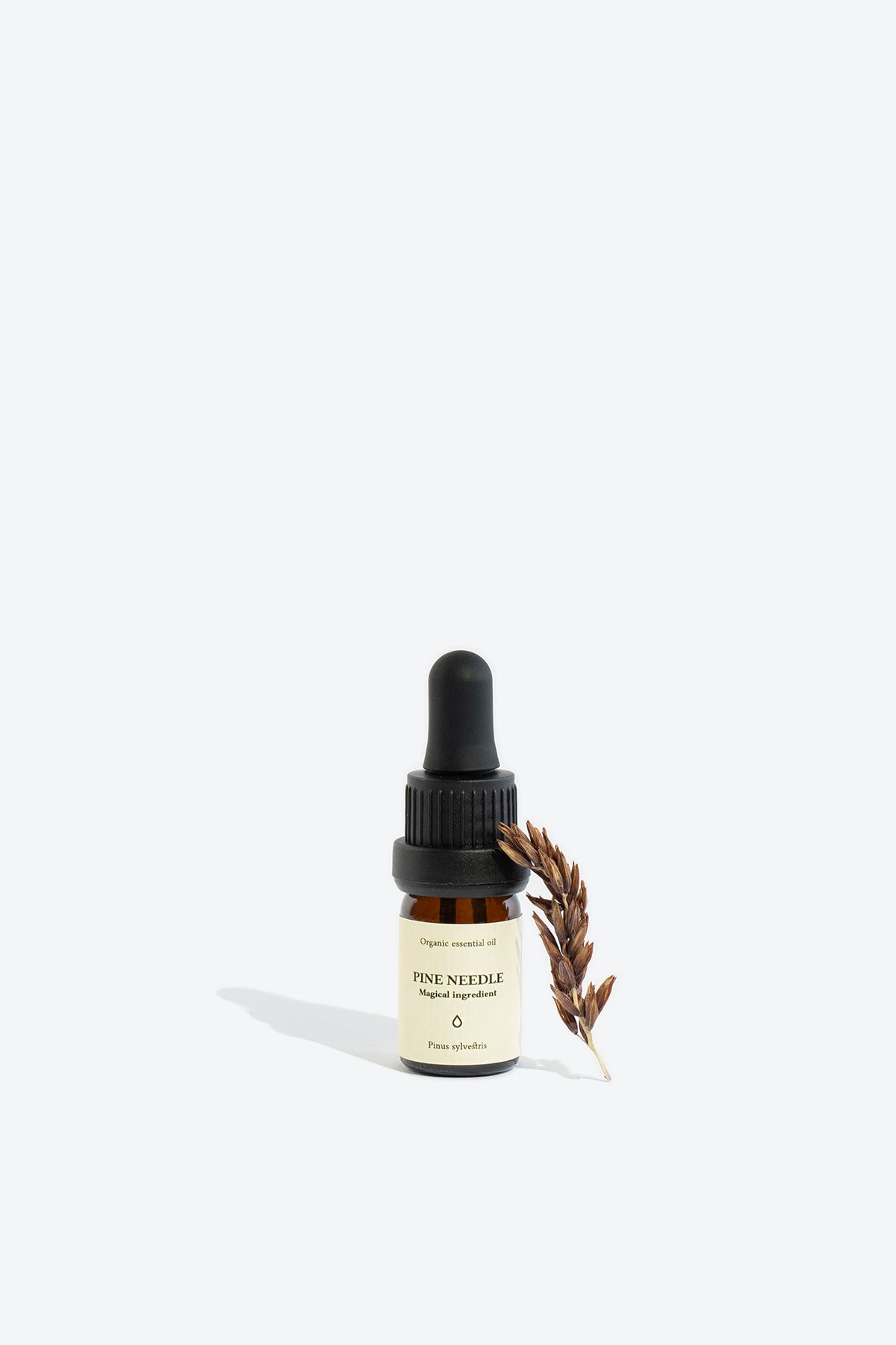 Huile essentielle d'aiguilles de pin Smells Like Spells, vue alternative