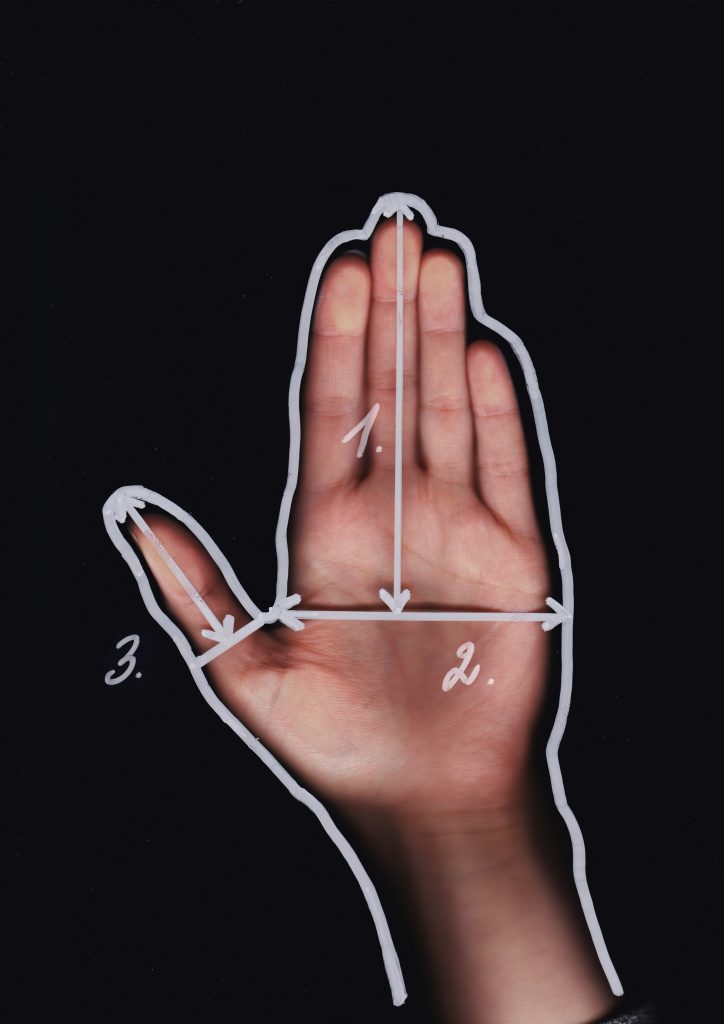 Guide des tailles des moufles HERTTA, avec les dimensions des quatre tailles