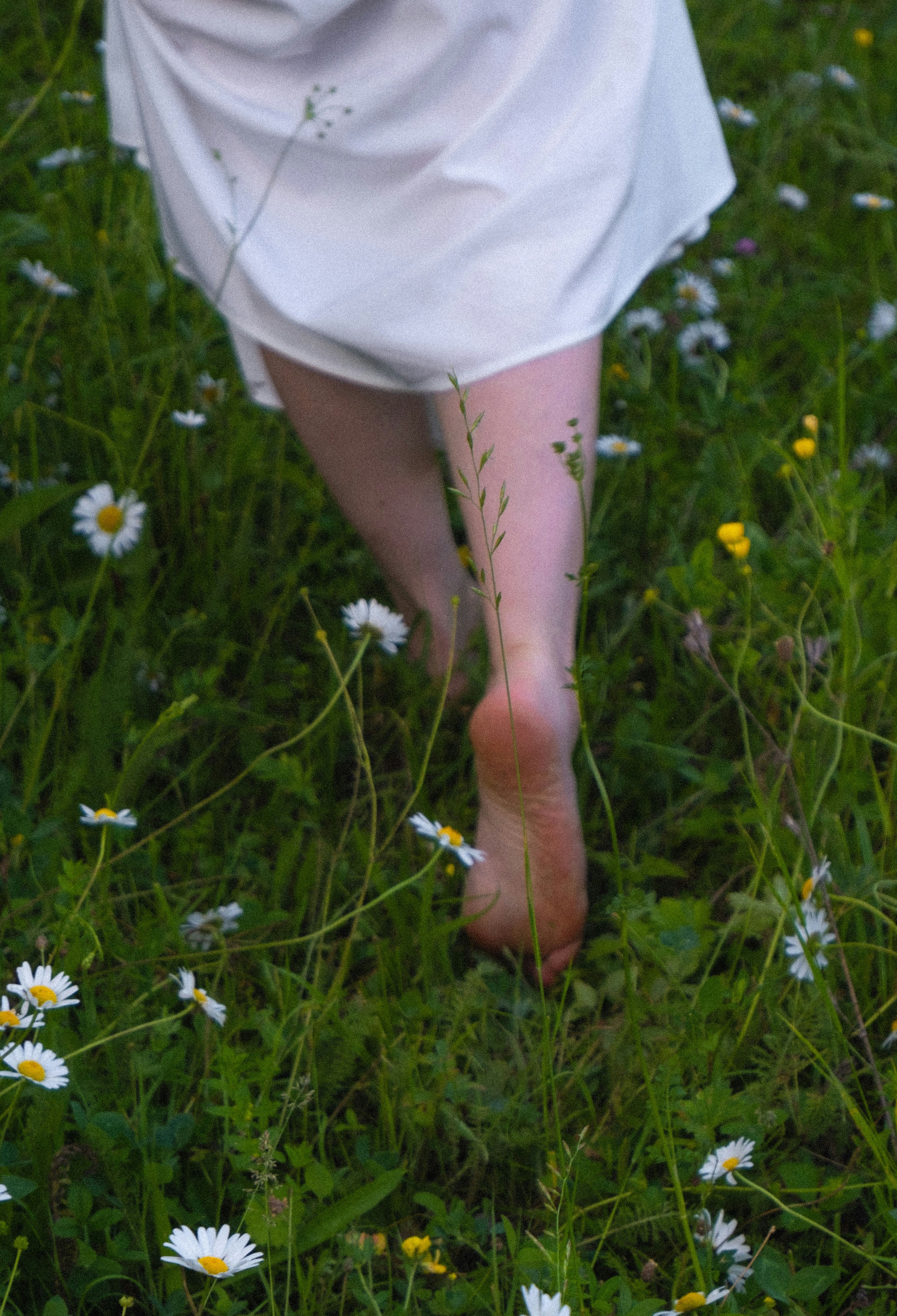 Une femme en robe blanche marchant dans un champ de marguerites