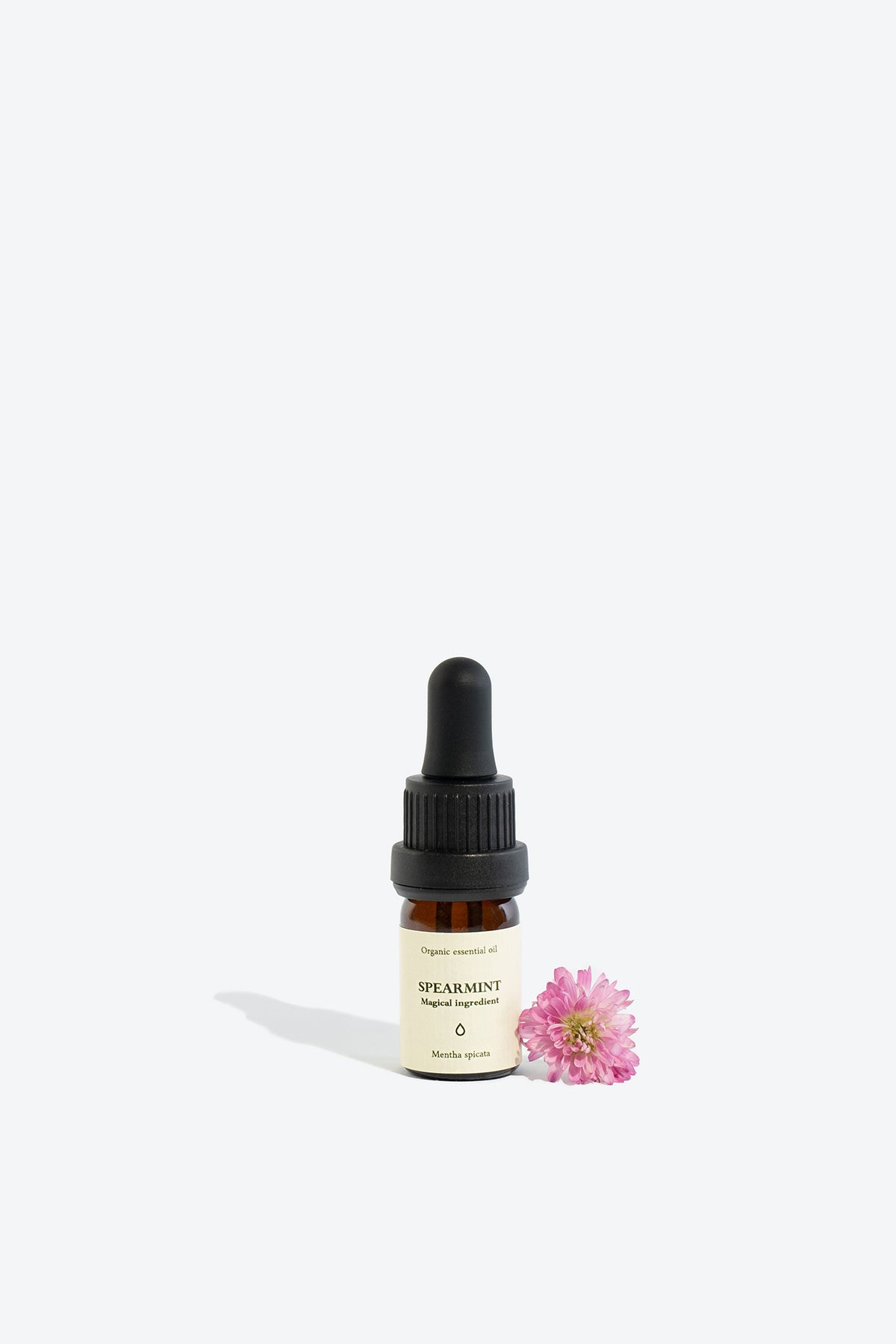 Huile essentielle de menthe verte Smells Like Spells, vue alternative