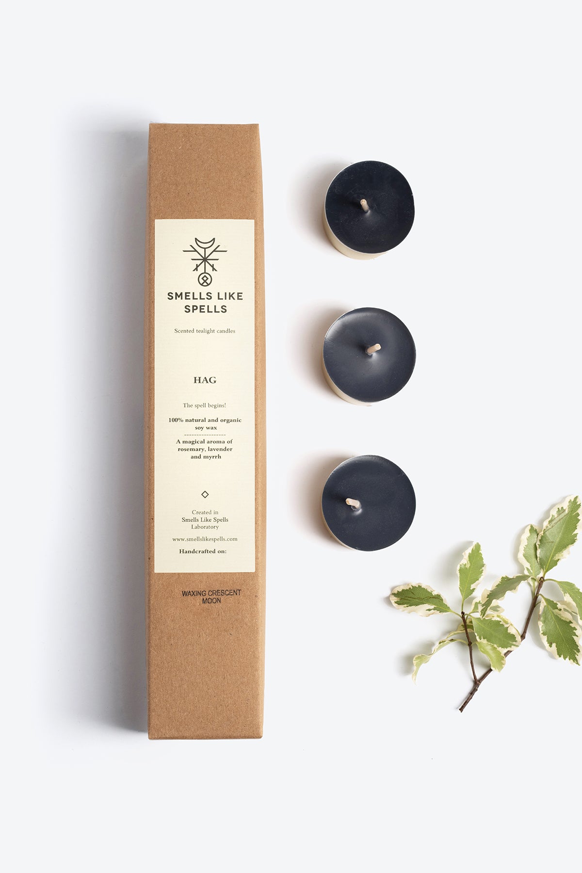 Bougies chauffe-plat parfumées Smells Like Spells Hag, vue alternative